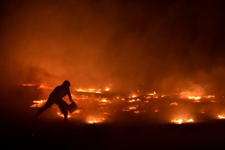 MAIS DE DOIS MIL FOGOS DESDE O INÍCIO DO ANO