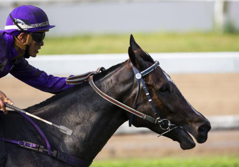 JOCKEY CLUB DE MACAU CELEBRA 30 ANOS COM MAIS DE 600 MIL EUROS EM PRÉMIOS