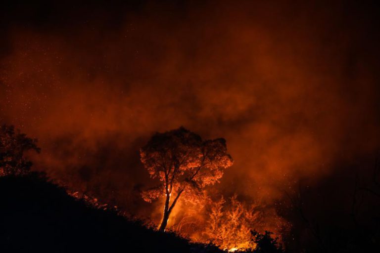 MAIS DE 140 OPERACIONAIS COMBATEM FOGO EM ÁGUEDA