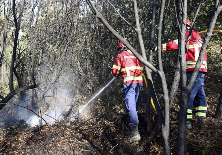 INCÊNDIO EM ST.ª LEOCÁDIA, NO MINHO, ESTÁ DOMINADO