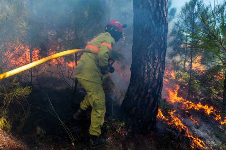 ESPECIALISTA DEFENDE MELHOR QUALIFICAÇÃO DOS COMANDOS DE BOMBEIROS