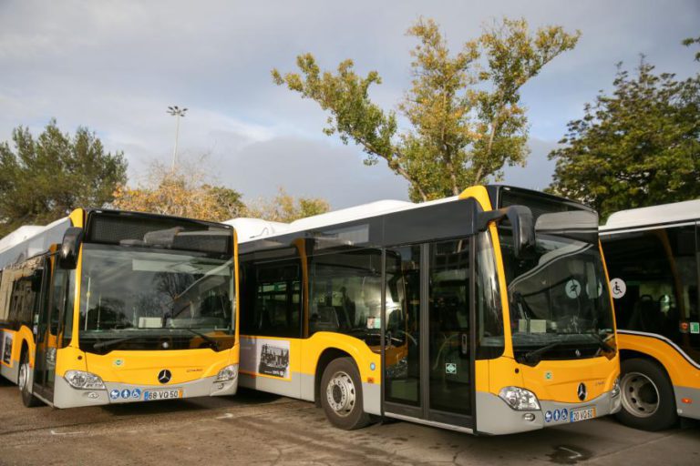 CONCURSO PARA REFORÇO DA REDE DE AUTOCARROS ATÉ AO FIM DO ANO