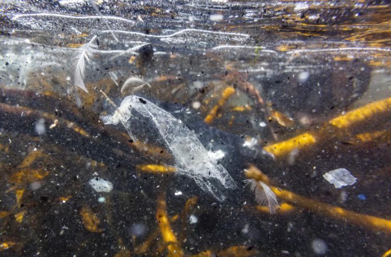 CIMEIRA AMBIENTAL DA ONU CHEGA A ACORDO PARA ACABAR COM PLÁSTICOS NOS MARES