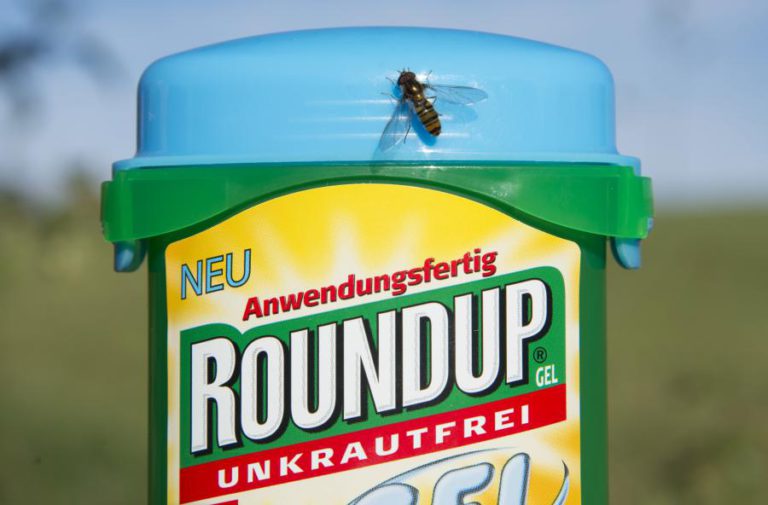 MONSANTO VAI PAGAR INDEMNIZAÇÃO DE 81 MILHÕES USD POR CANCRO LIGADO AO ROUNDUP