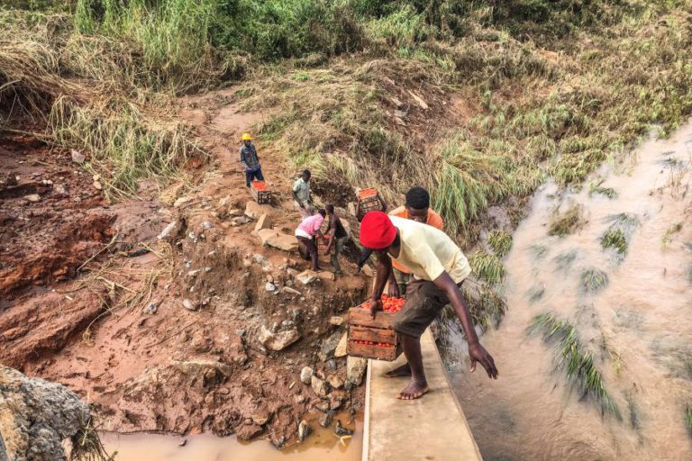 FUNDAÇÃO DE MIA COUTO ABRE CONTAS PARA DONATIVOS DE AJUDA A MOÇAMBIQUE