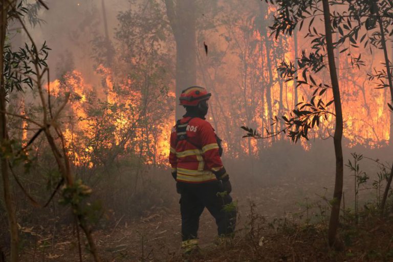DOMINADO FOGO EM AZEMÉIS QUE CHEGOU A ENVOLVER MAIS DE 400 OPERACIONAIS