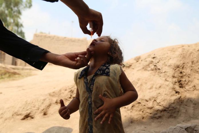 22715319.jpg
