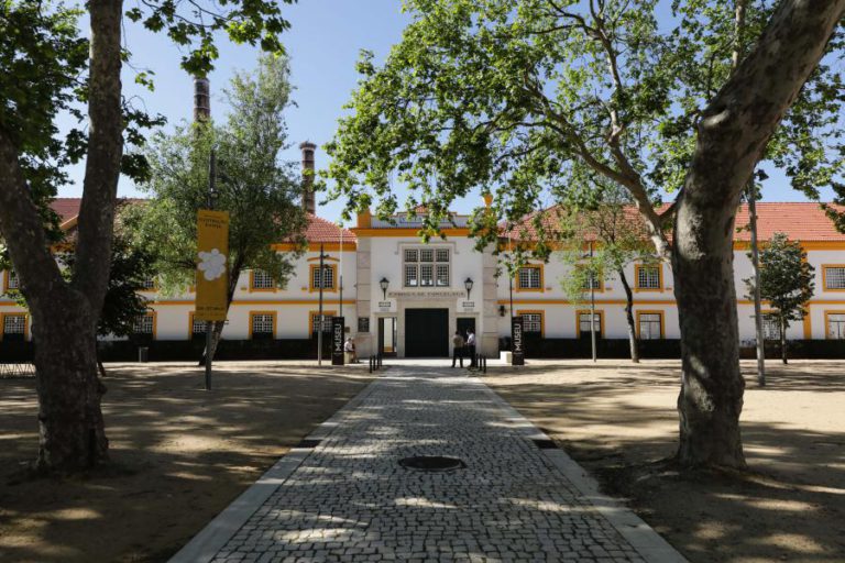 “VAMOS PRIMEIRO PAGAR A DÍVIDA” QUE LIMITA VISTA ALEGRE A DISTRIBUIR DIVIDENDOS, DIZ PRESIDENTE
