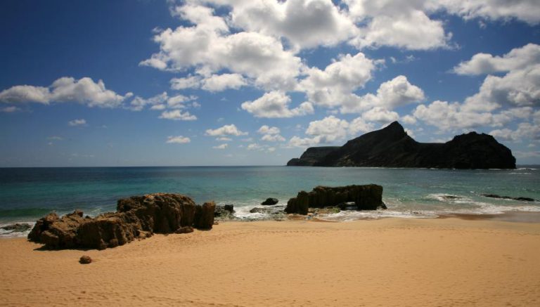 CRIA DE LOBO-MARINHO ESTÁ HÁ QUATRO DIAS NO AREAL DA ILHA DO PORTO SANTO