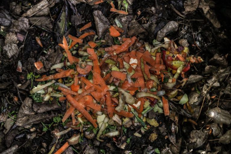 INVESTIGAÇÃO IBÉRICA QUER FAZER DO LIXO MATÉRIA-PRIMA