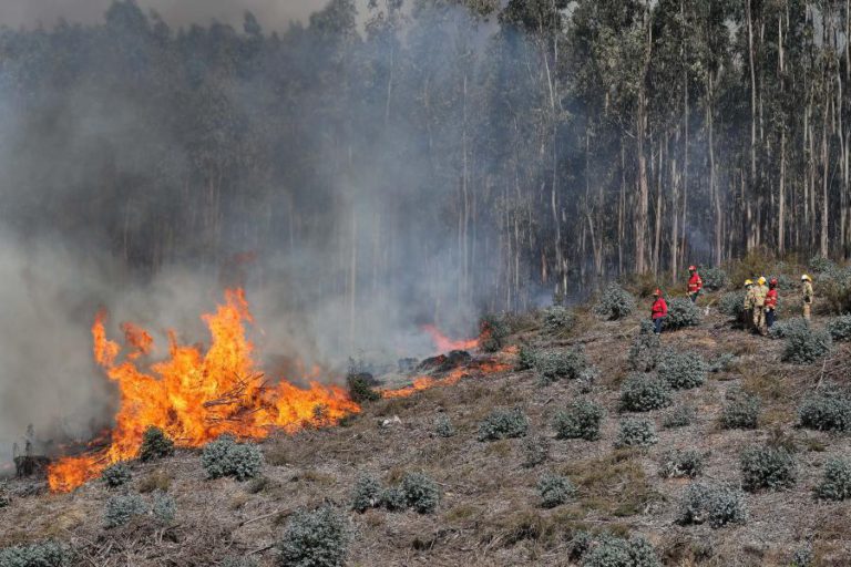 NEGLIGÊNCIA NA ORIGEM DE 56% DOS FOGOS REGISTADOS ESTE ANO NO ALTO MINHO
