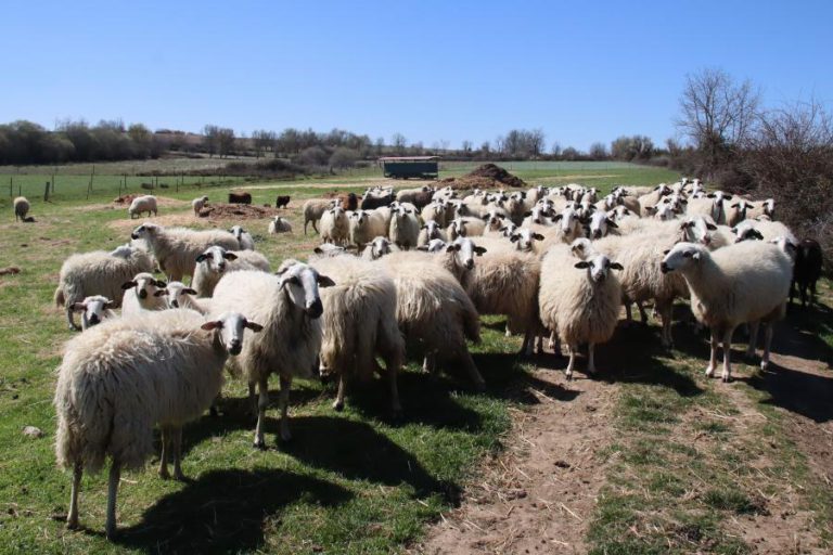 SECA: GOVERNO VAI IDENTIFICAR NECESSIDADES DE INVESTIMENTO DOS AGRICULTORES