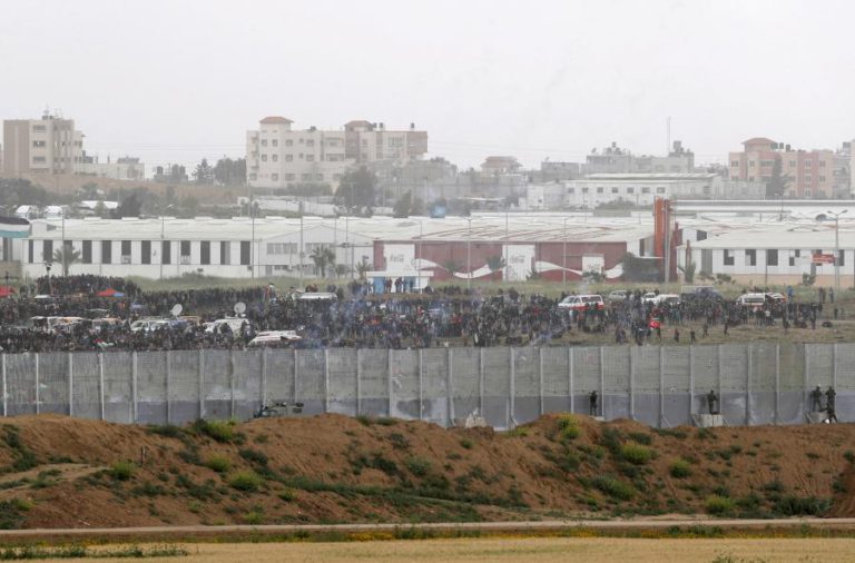 MAIS DE 40 ANIMAIS RETIRADOS DE ZOO NA FAIXA DE GAZA DEVIDO A MÁS CONDIÇÕES