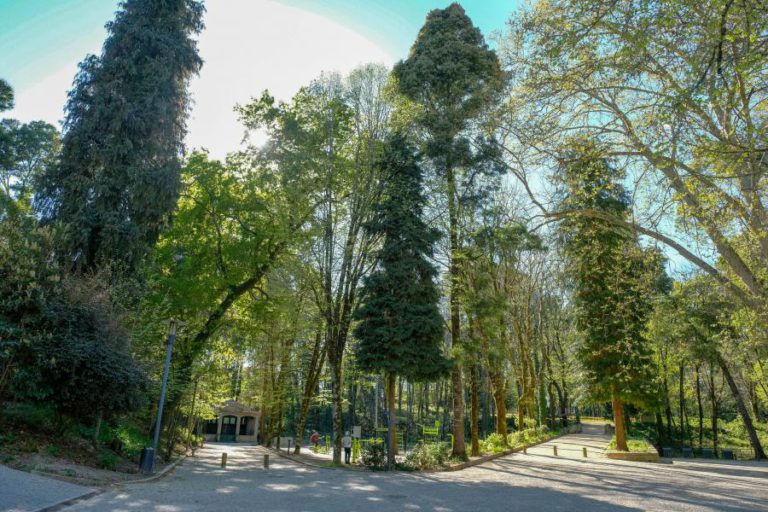 MELGAÇO LIDERA PROJETO IBÉRICO QUE VISA LIGAR EM REDE TERMAS DE SEIS MUNICÍPIOS