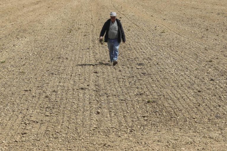 SECA: AGRICULTORES DE CAMPILHAS E ALTO SADO TEMEM “ANO DE CALAMIDADE”