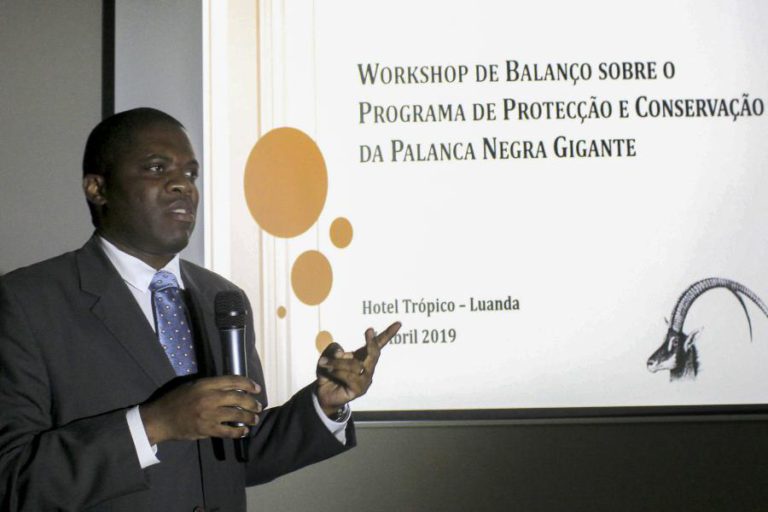 PALANCA NEGRA GIGANTE EM ANGOLA REDUZIDA A 200 ANIMAIS E EM RISCO DE EXTINÇÃO