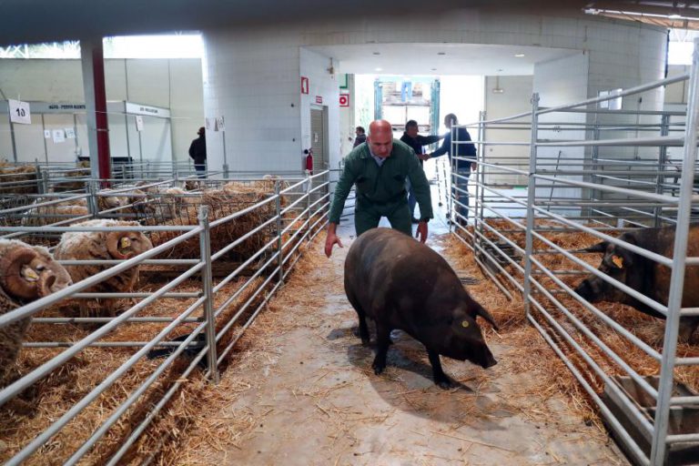 OVIBEJA ARRANCA HOJE “CHEIA” PARA MOSTRAR TODO O ALENTEJO DESTE MUNDO