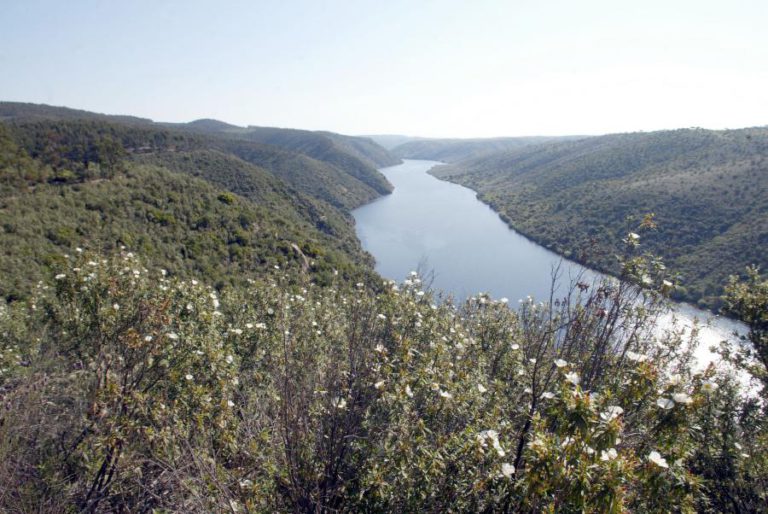 CASTELO BRANCO E IDANHA-A-NOVA INTEGRAM PREVENÇÃO ESTRUTURAL DO TEJO INTERNACIONAL