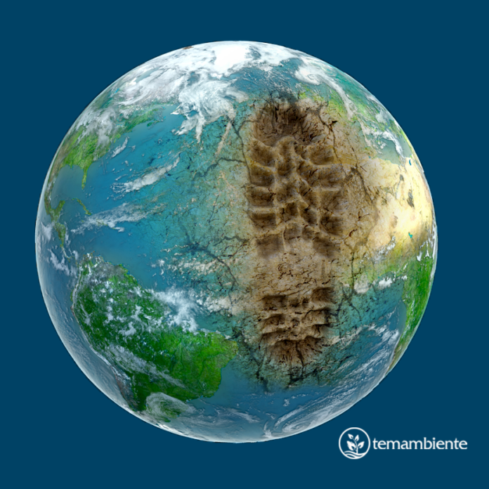 Foto: TEMA Meio Ambiente