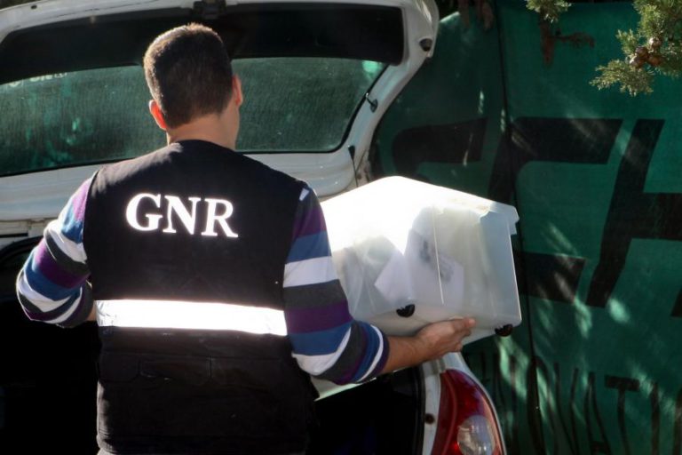 TREZE PESSOAS DETIDAS POR FURTOS QUALIFICADOS A RESIDÊNCIAS NA GRANDE LISBOA, ANUNCIOU A GNR