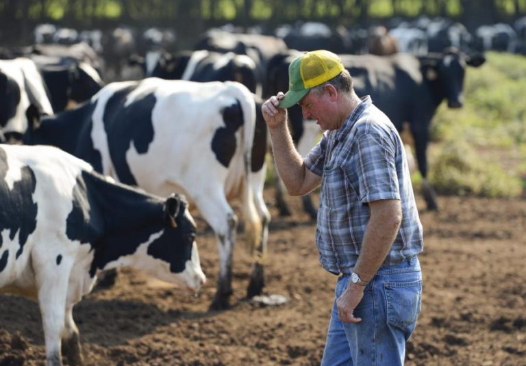 JAPÃO DECIDE LEVANTAR RESTRIÇÕES À CARNE IMPORTADA DOS EUA