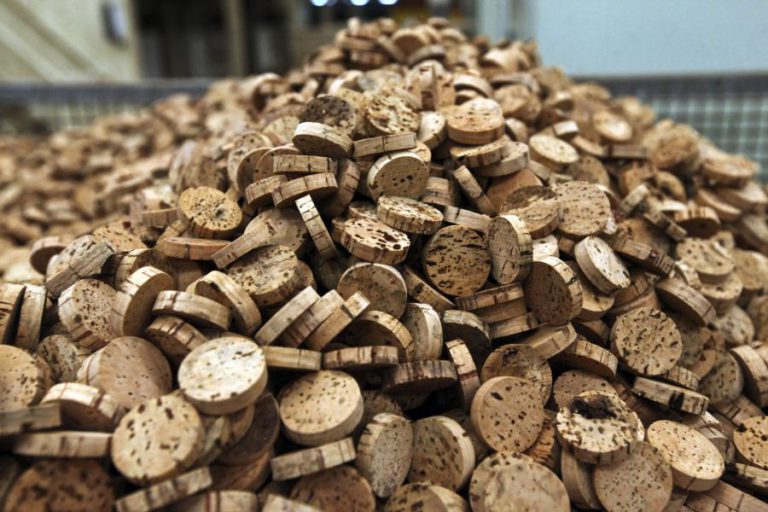 LUCRO DA CORTICEIRA AMORIM CAI 1,1% NO PRIMEIRO TRIMESTRE PARA 18,6 ME