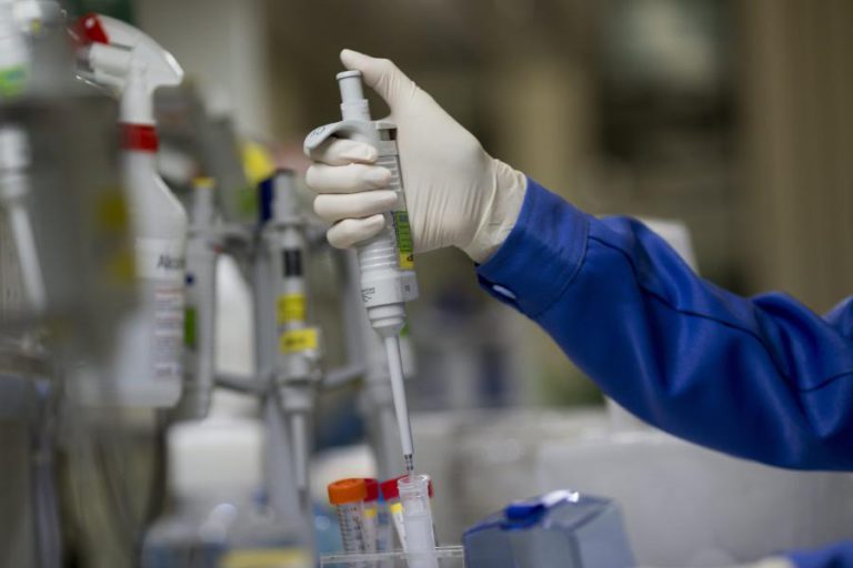 DESCOBERTA EM MACAU A PARTIR DE ORQUÍDEA TAMBÉM PODE AJUDAR NO TRATAMENTO DE CANCRO