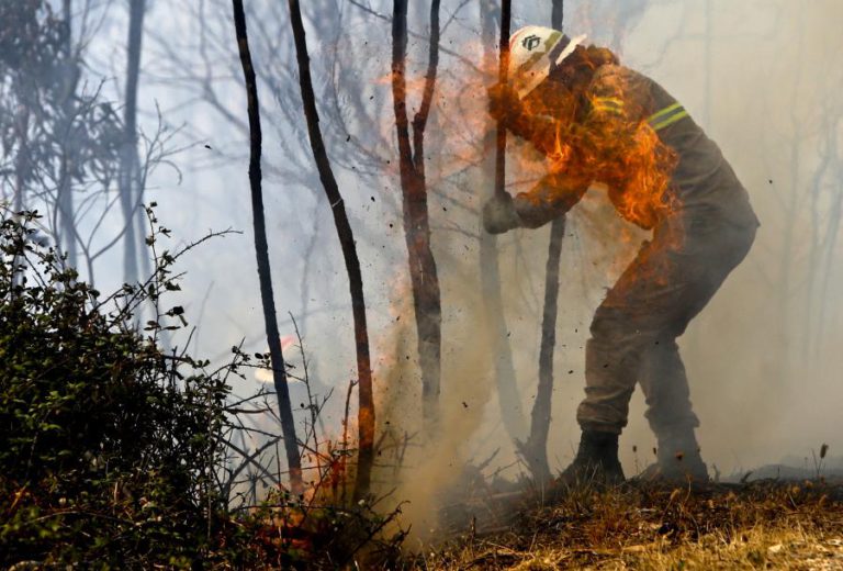 RISCO MÁXIMO DE INCÊNDIO EM QUATRO CONCELHOS DO DISTRITO DE FARO