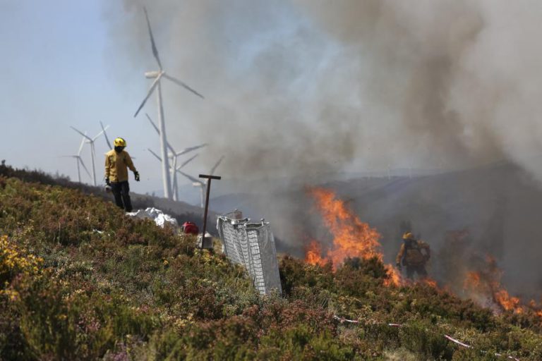 INVESTIGADORES E OPERACIONAIS REALIZARAM ENSAIOS COM FOGO NA SERRA DA LOUSÃ