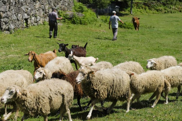 SERRA DE SANTA LUZIA TEM UM SÍTIO HABITADO HÁ CINCO GERAÇÕES PELA MESMA FAMÍLIA