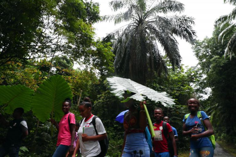 ALUNOS DO PRÍNCIPE APRENDEM SOBRE CIÊNCIA EM CAMINHADAS NA FLORESTA