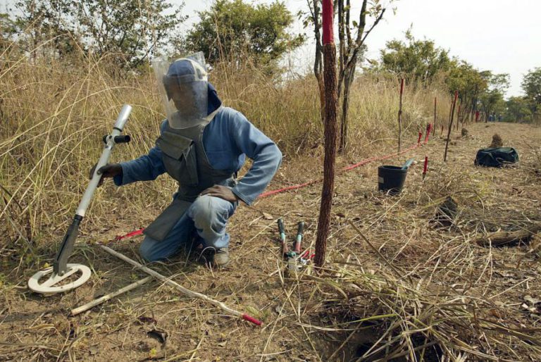 BP CONTRIBUI COM UM MILHÃO DE EUROS PARA REMOÇÃO DE MINAS TERRESTRES EM ANGOLA