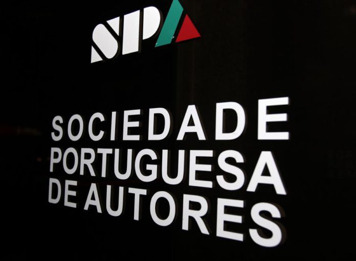 9120613.jpg