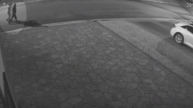 Foto: York Regional police