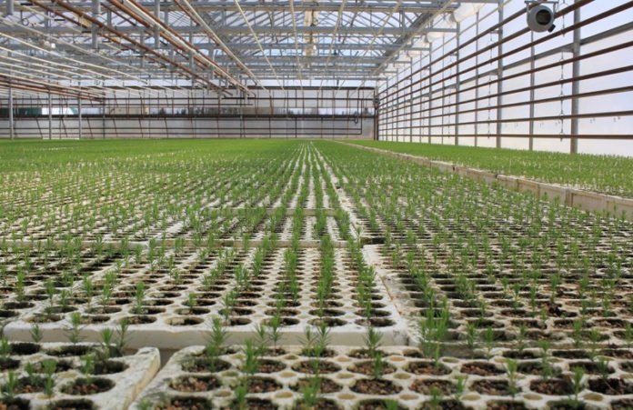 Foto: MGEU Foto: MGEU