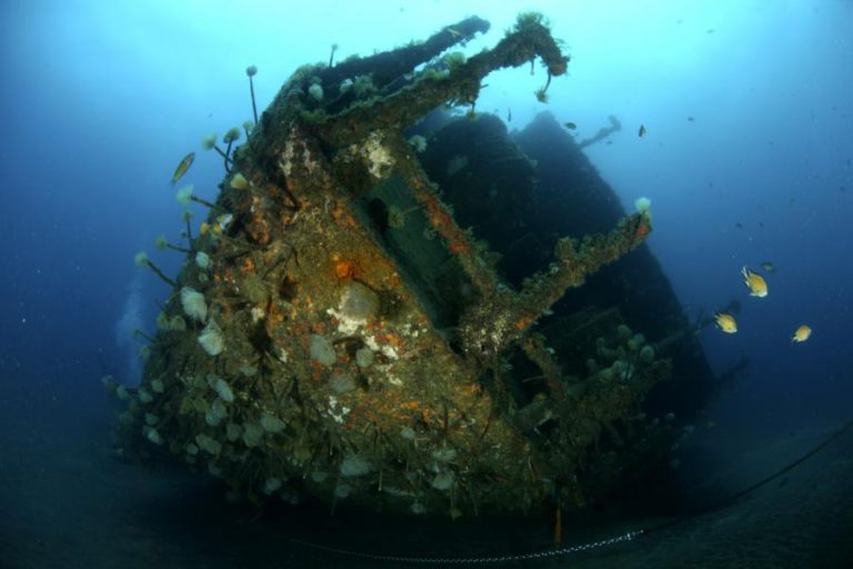 UNESCO PÕE AÇORES ENTRE MELHORES PRÁTICAS DE PROTEÇÃO DO PATRIMÓNIO CULTURAL SUBAQUÁTICO