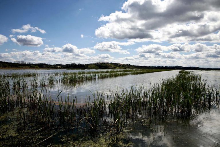 GOVERNO AVANÇA COM ESTUDOS DE VIABILIDADE PARA REGADIO A PARTIR DA ÁGUA DO TEJO