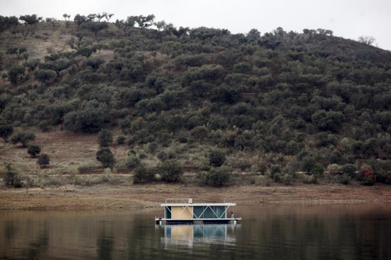 GOVERNO ANUNCIA FIM DE NOVOS APOIOS PARA EXTENSÃO DO OLIVAL NO PERÍMETRO DO ALQUEVA