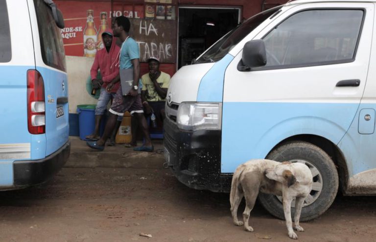 CAPTURA E ELETROCUSSÃO DE CÃES EM CABO VERDE GERA INDIGNAÇÃO, AUTARQUIA DIZ SER LEGAL