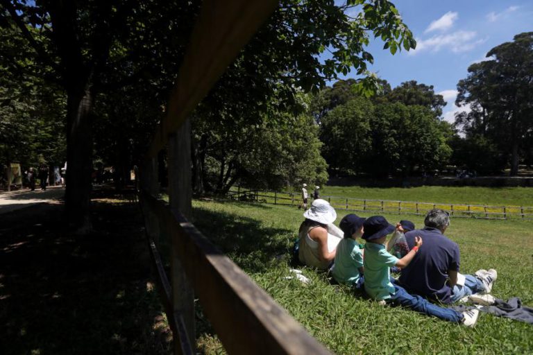 SERRALVES EM FESTA RECEBEU 264.750 VISITANTES, “A MAIOR AFLUÊNCIA DE SEMPRE”