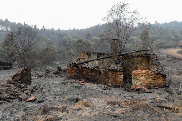 FERRO RODRIGUES HOMENAGEIA VÍTIMAS DE FOGOS FLORESTAIS EM PORTUGAL