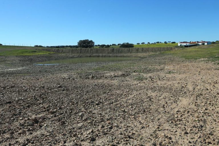 SECA: GOVERNO DISPONIBILIZA 3 ME PARA APOIAR AGRICULTORES A PARTIR DE 2.ª-FEIRA