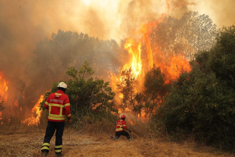 COSTA ALERTA QUE DIMINUIÇÃO DO RISCO DE INCÊNDIO OBRIGA A ALTERAÇÃO DA PAISAGEM FLORESTAL