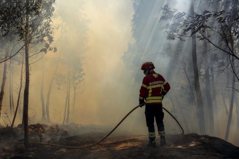 CINCO CONCELHOS DE FARO E PORTALEGRE EM RISCO MÁXIMO DE INCÊNDIO