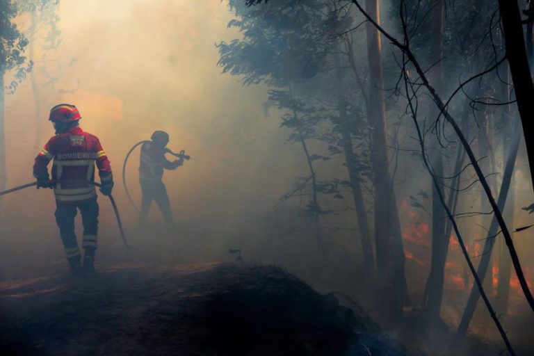 CERCA DE 90 OPERACIONAIS E DOIS MEIOS AÉREOS COMBATEM INCÊNDIO NO FUNDÃO