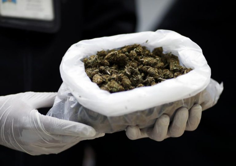 ESTUDO REVELA AUMENTO DO USO DE CANÁBIS E CONSUMOS INTENSIVOS DE ÁLCOOL PELOS JOVENS