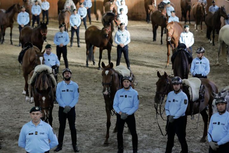 CAVALO DA GNR FUGIU DE MILITAR E ATRAVESSOU O CENTRO DO PORTO SOZINHO