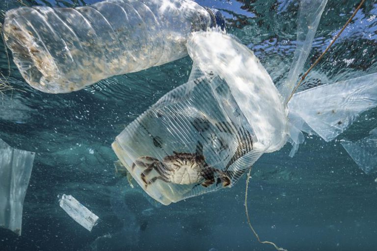 PAÍSES DO SUDESTE ASIÁTICO COMPROMETEM-SE A COMBATER POLUIÇÃO DOS OCEANOS