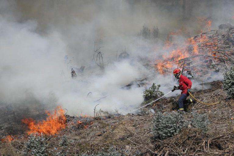 CATORZE CONCELHOS DO CONTINENTE E UM NA MADEIRA EM RISCO MÁXIMO DE INCÊNDIO