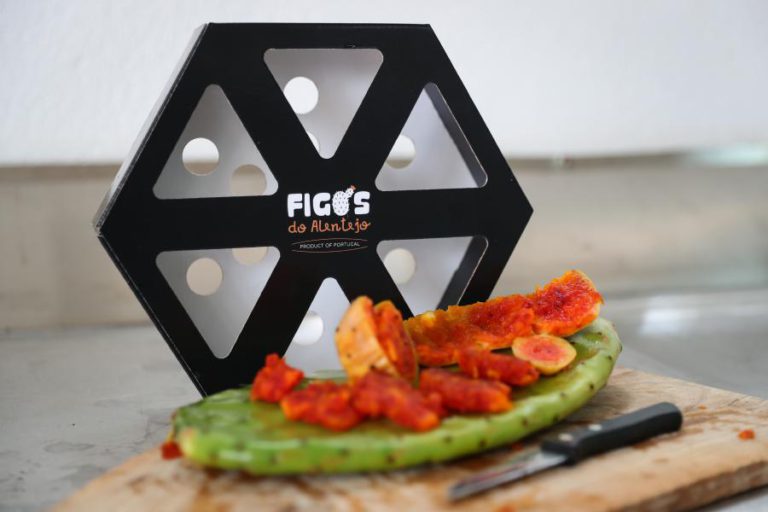 PROJETO “DÁ ASAS” A EMPRESÁRIOS DE PORTUGAL E ESPANHA PARA EXPORTAREM